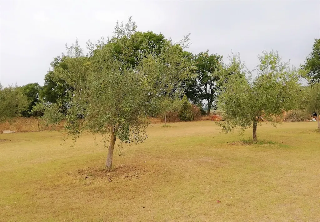 Luna Barba_La Fontana_Lugnano in Teverina_review