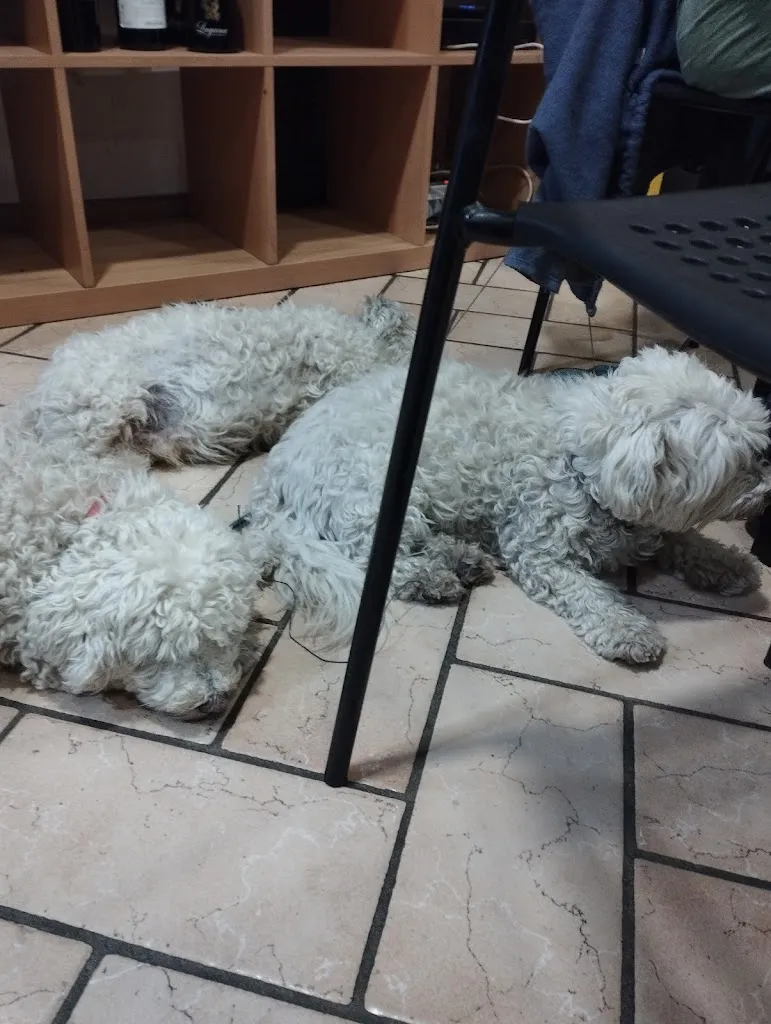 Thomas Carey_Tabaccheria RINALDI - BAR - PIZZERIA_Lugnano in Teverina_review