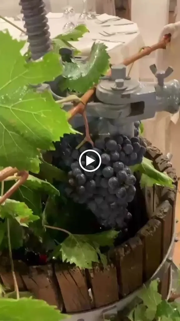 Ristorante Montalcino_Magione_slider_image_2