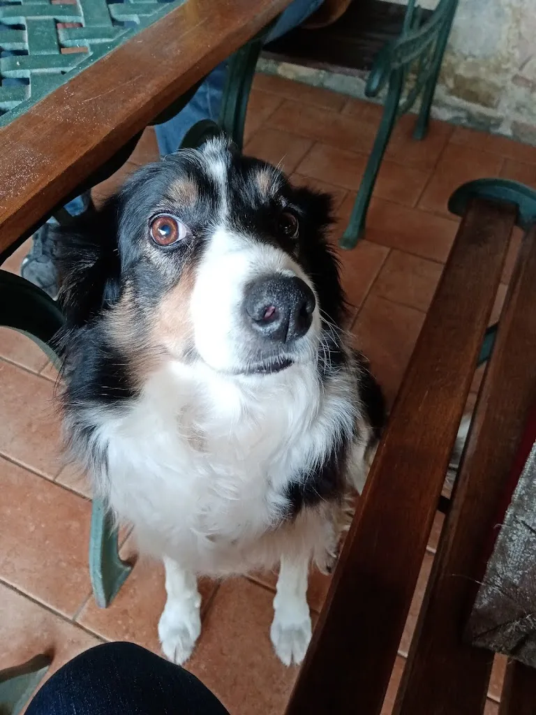 Lidia Mora_Locanda Delle Noci_Marsciano_review