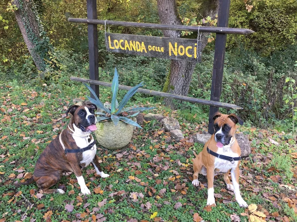 Francesca Occhipinti_Locanda Delle Noci_Marsciano_review