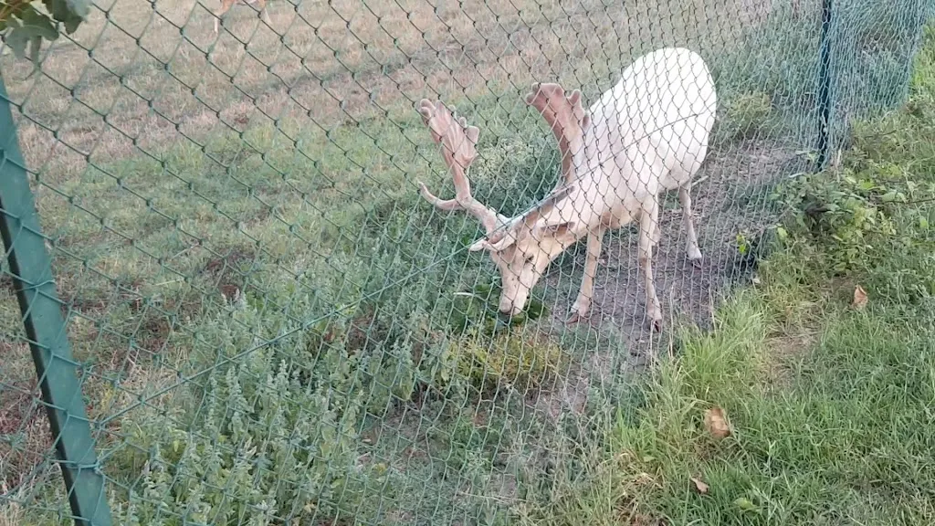Agrincontri Azienda Agrituristica_Monte Castello di Vibio_slider_image_2