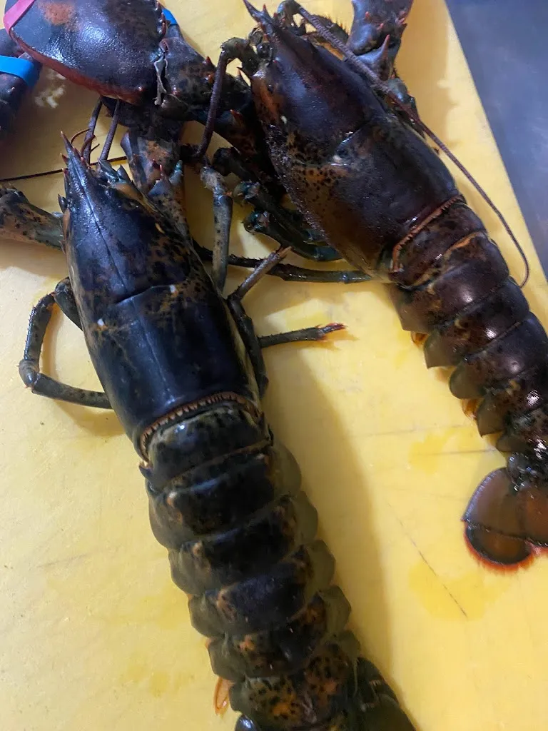 Menu_Hostaria Da Baccus_Gualdo Tadino_image_8