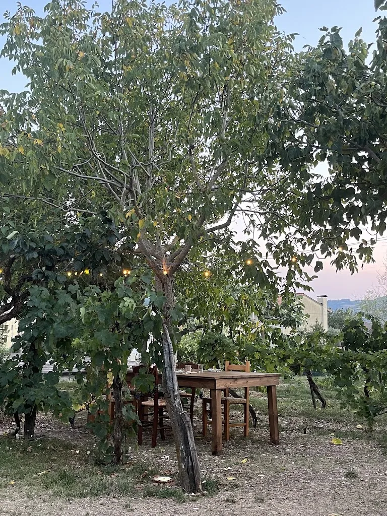 Michela_Capalto Home Restaurant_Gualdo Tadino_review