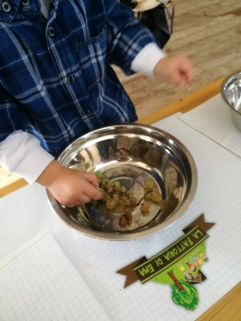 Menu_La Fattoria di Ema_Montefranco_image_3