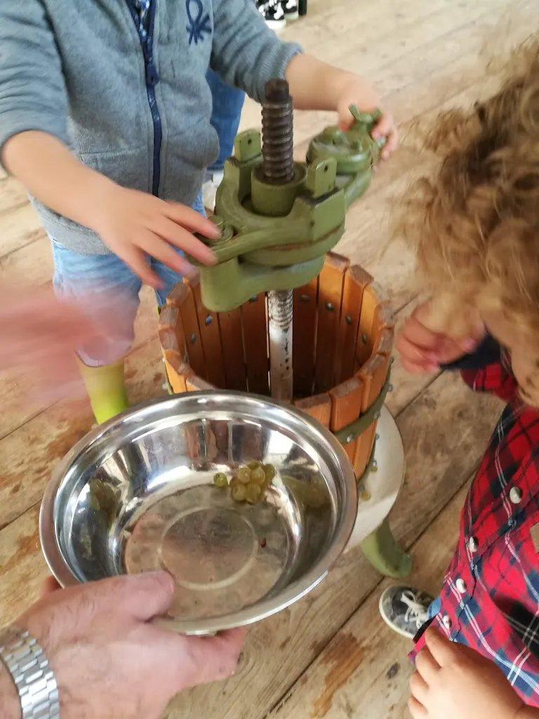 Menu_La Fattoria di Ema_Montefranco_image_4