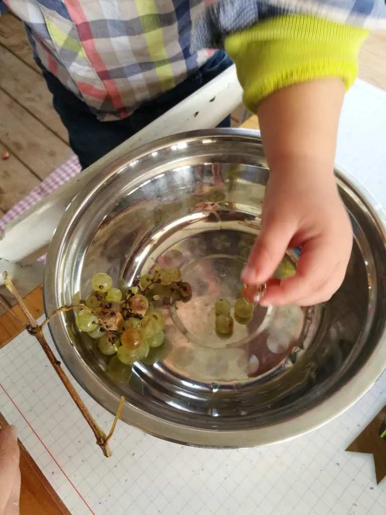 Menu_La Fattoria di Ema_Montefranco_image_5