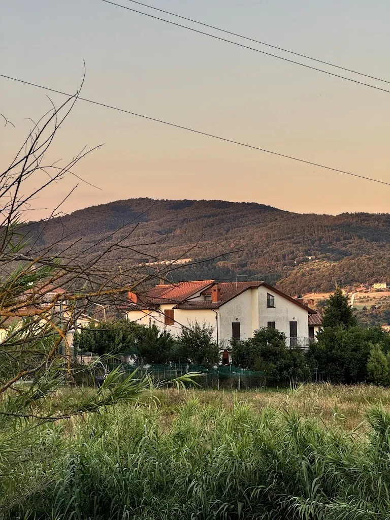 Mahesh Paolini-Subramanya_L' ape regina_Monteleone d'Orvieto_review