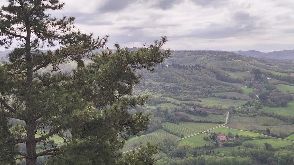 Erba Luna Ristorante_Montone_slider_image_2