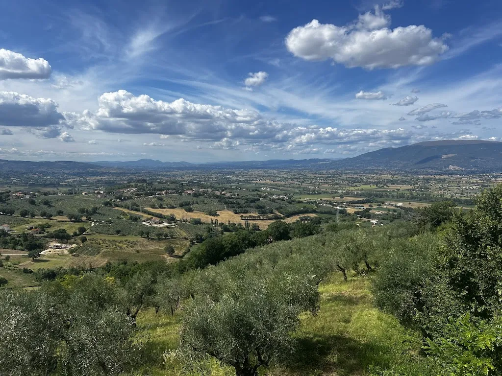 Ocean Greens_Ristorante Locanda del Teatro Montefalco_Montefalco_recensione