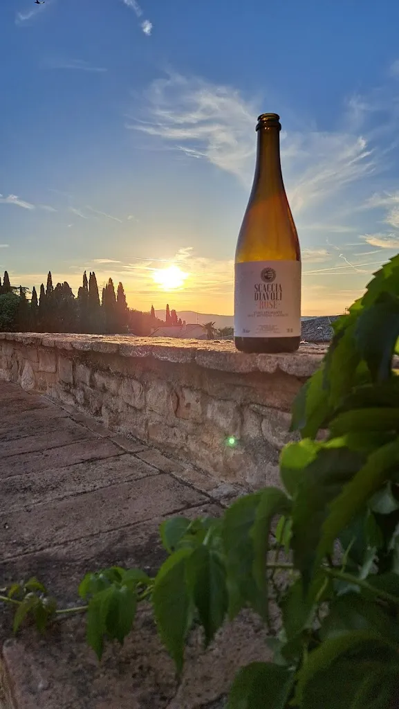 Andrea Nurzia_InBollaEnoteca & Cucina_Montefalco_review