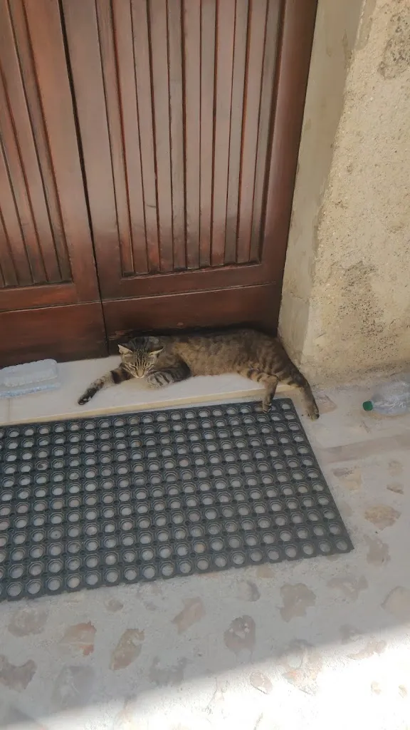 Angelo Mazzucchi_Cinicchia_Montefalco_avis