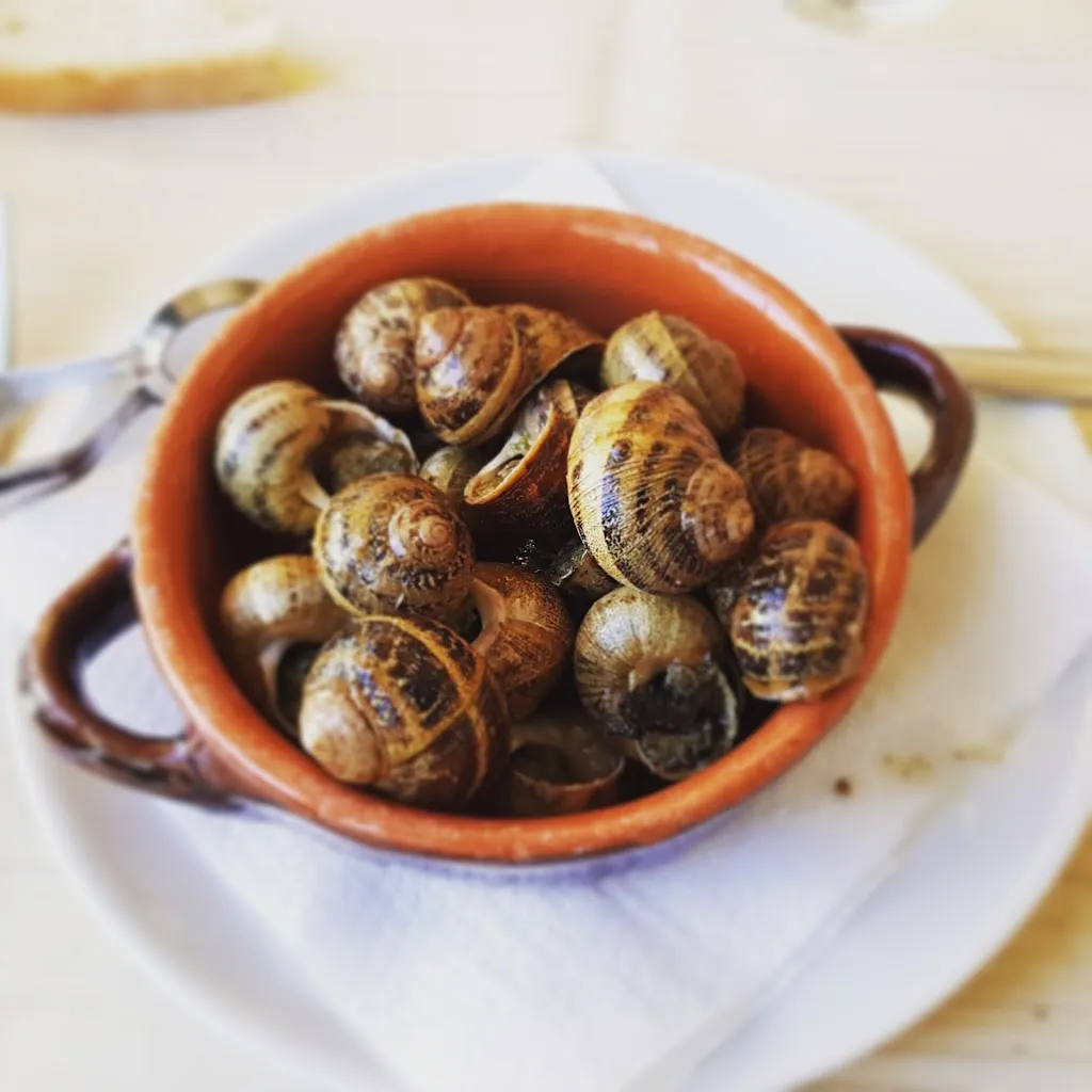 Menu_Piazza Grande_Nocera Umbra_immagine_6