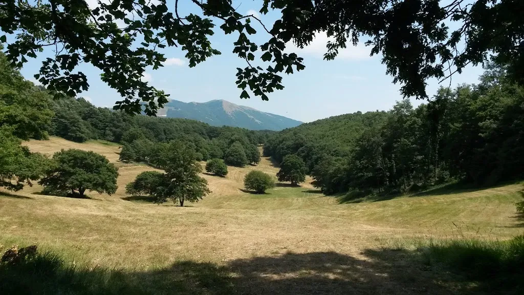 Pian Delle Stelle Crescia sotto ‘l foco, Ristorante, Pizzeria._Nocera Umbra_slider_image_3