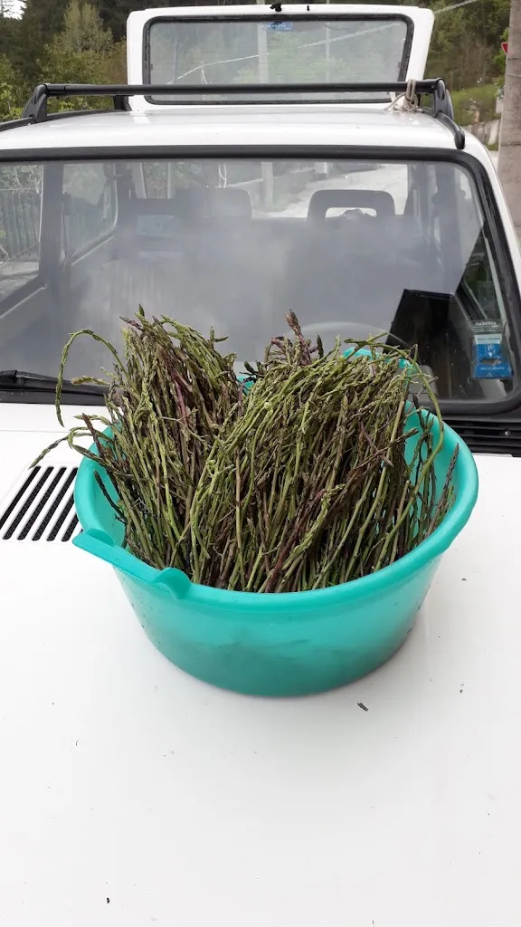 Menu_Vecchia Flaminia Pizzeria e Rosticceria_Nocera Umbra_image_3