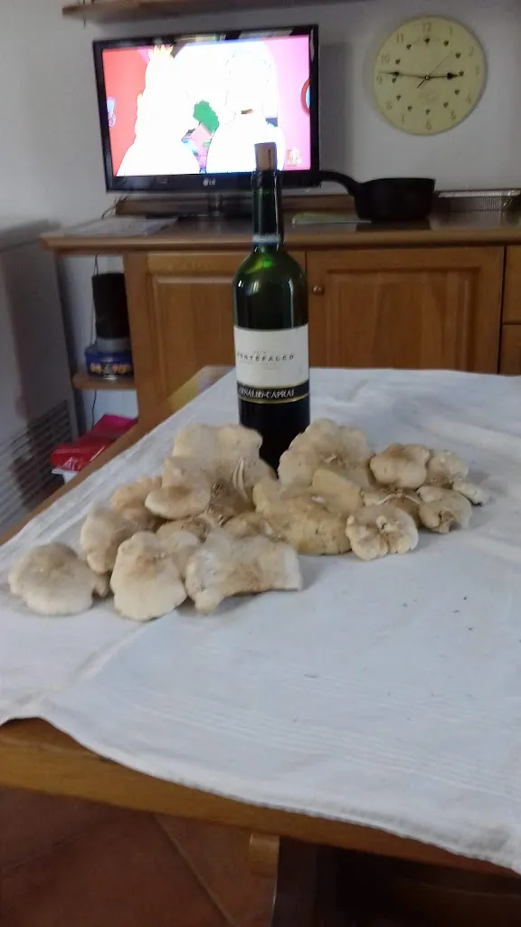 Menu_Vecchia Flaminia Pizzeria e Rosticceria_Nocera Umbra_image_4