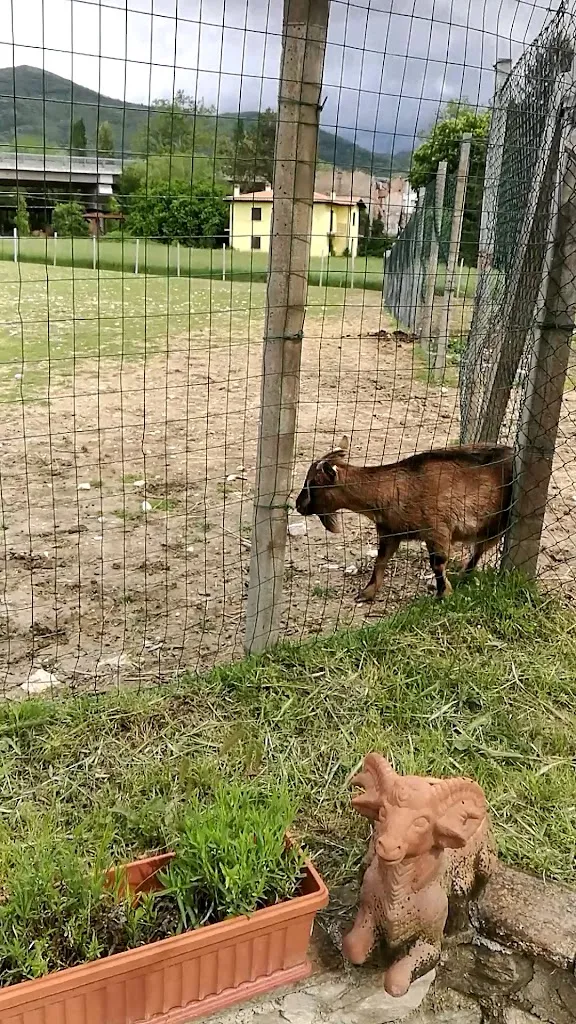 Agriturismo Sole Nascente_Nocera Umbra_slider_image_2