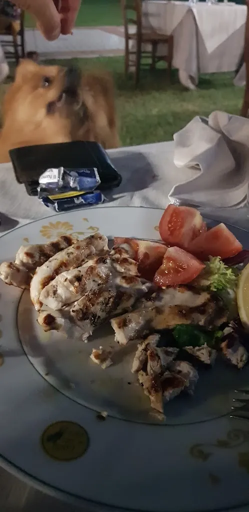 Menu_Ristorante Al Canto Del Gallo_Narni Scalo_immagine_5