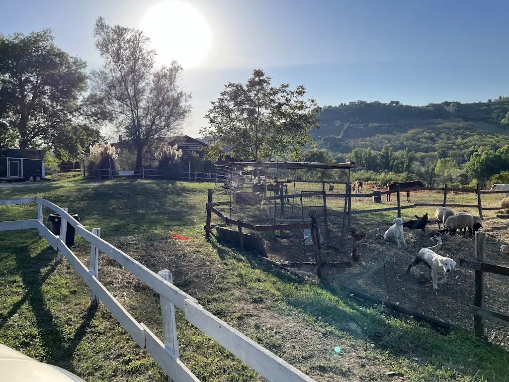 Christian S_Billy Ranch_Otricoli_review