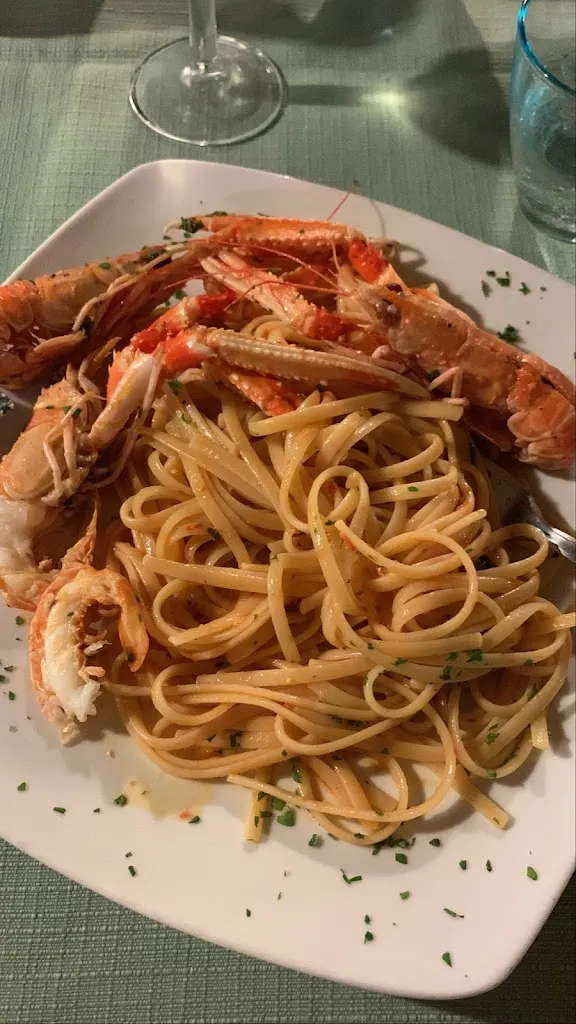 Eva Ohayon_Mustafà - Vignacatsrisi_Ortelle_review