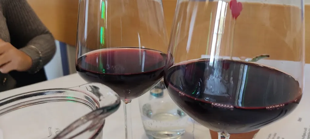 Menu_Trattoria del Conte_Orvieto_image_5