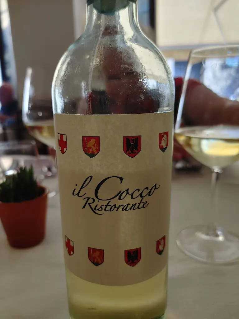 Charlie Charnigo_Ristorante Il Cocco_Orvieto_review