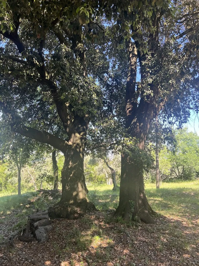 Cosimo Sesti_La Capretta Country House_Parrano_review