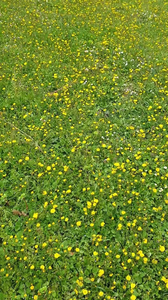 La Capretta Country House_Parrano_slider_image_2