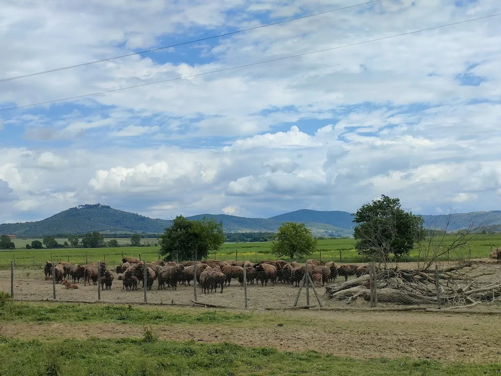 Terra dei Bisonti_Panicale_slider_image_3