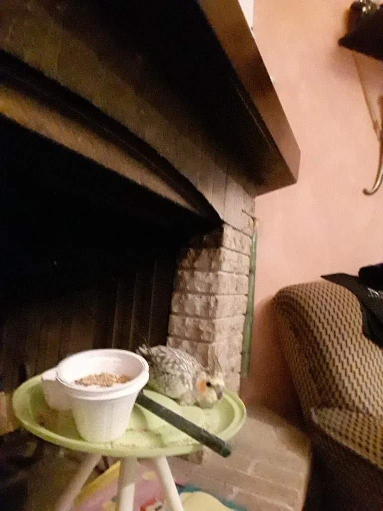 Tarik Annan_La Torre delle Bege - Informal kitchen_Ponte Felcino_review