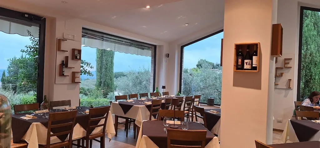 tiziana fiammenghi_Agriturismo Colle Degli Olivi SNC_Rivotorto_review