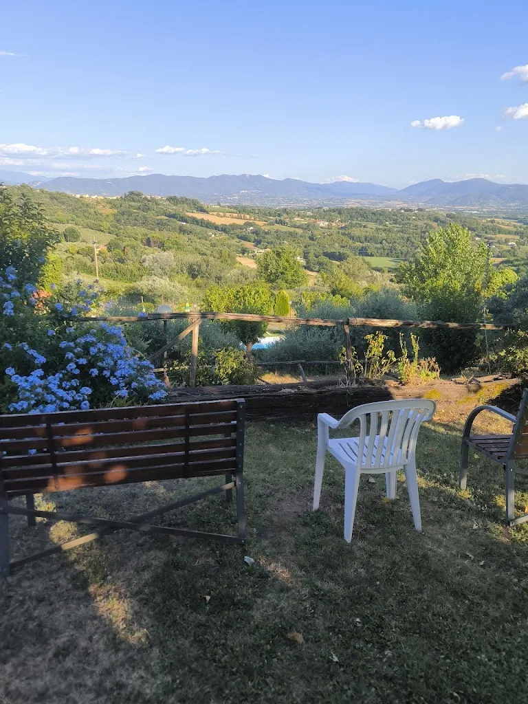 Vincenzo Contreras_Agriturismo Poggio del Sole_San Gemini_review