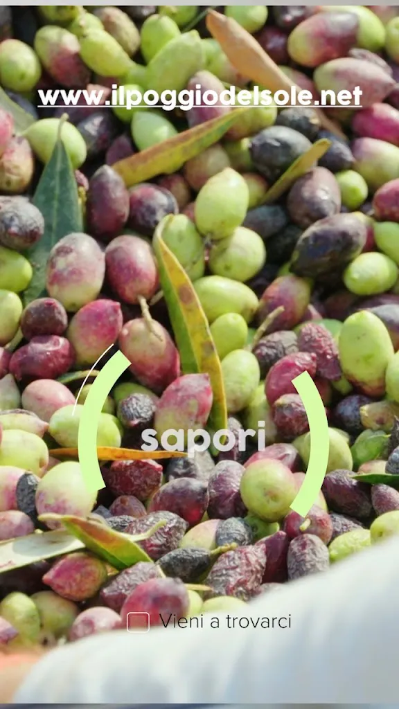 Agriturismo Poggio del Sole_San Gemini_slider_image_2