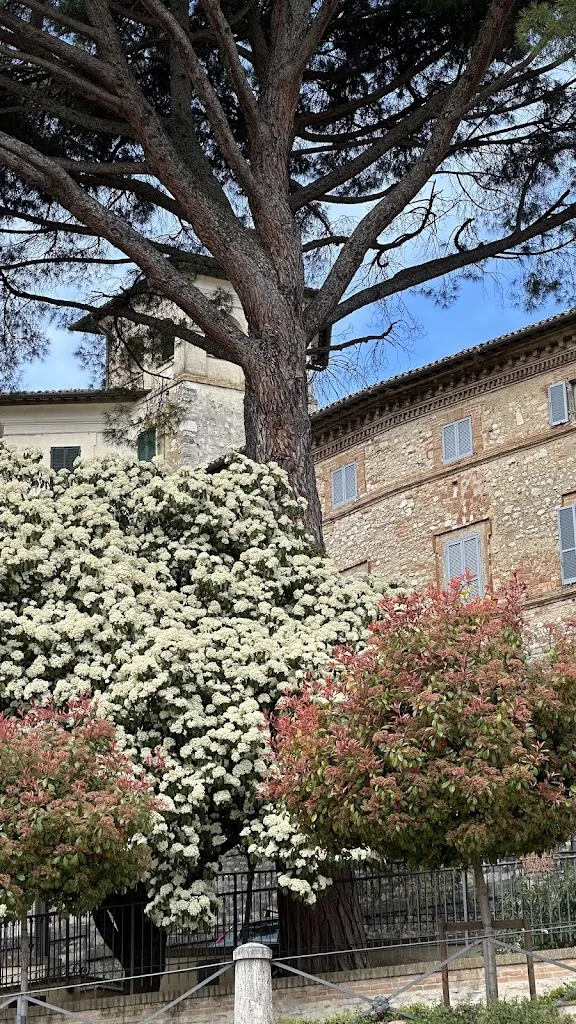 Marija Radalj_Grand Hotel San Gemini_San Gemini_recensione