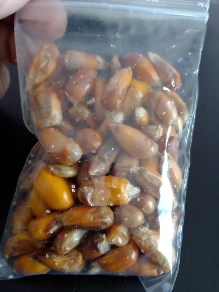 Menu_La Estación_San Secondo_image_7