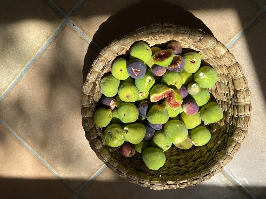 Menu_Bio Fattoria Sapio_San Venanzo_image_1