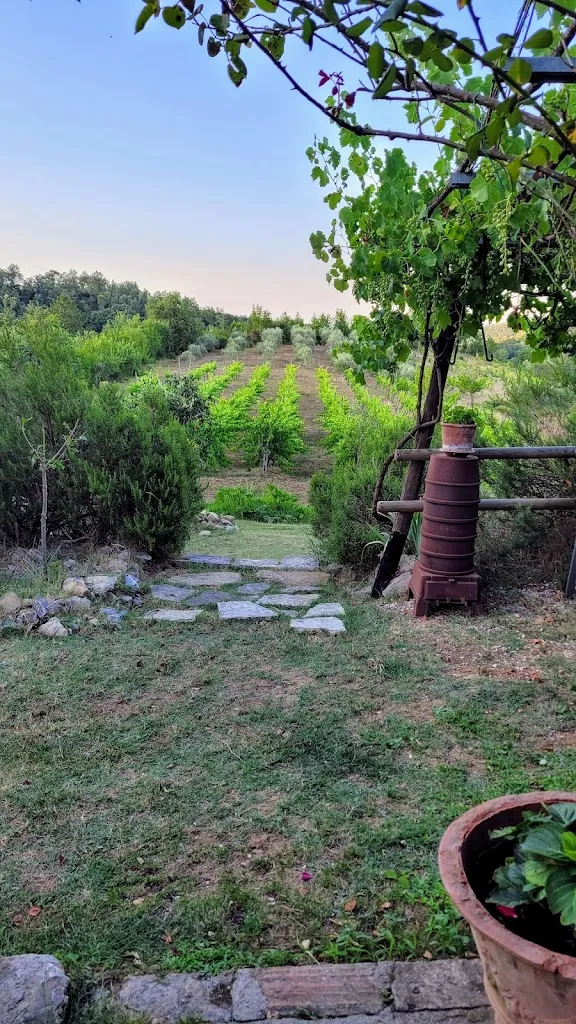 Frank Seifert_Bio Fattoria Sapio_San Venanzo_review