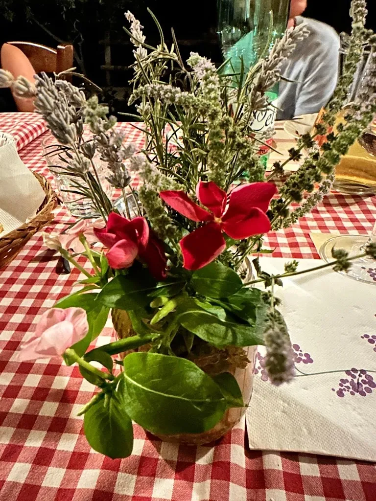 Goran Bronisch_Bio Fattoria Sapio_San Venanzo_review