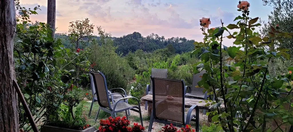 D O_Bio Fattoria Sapio_San Venanzo_review