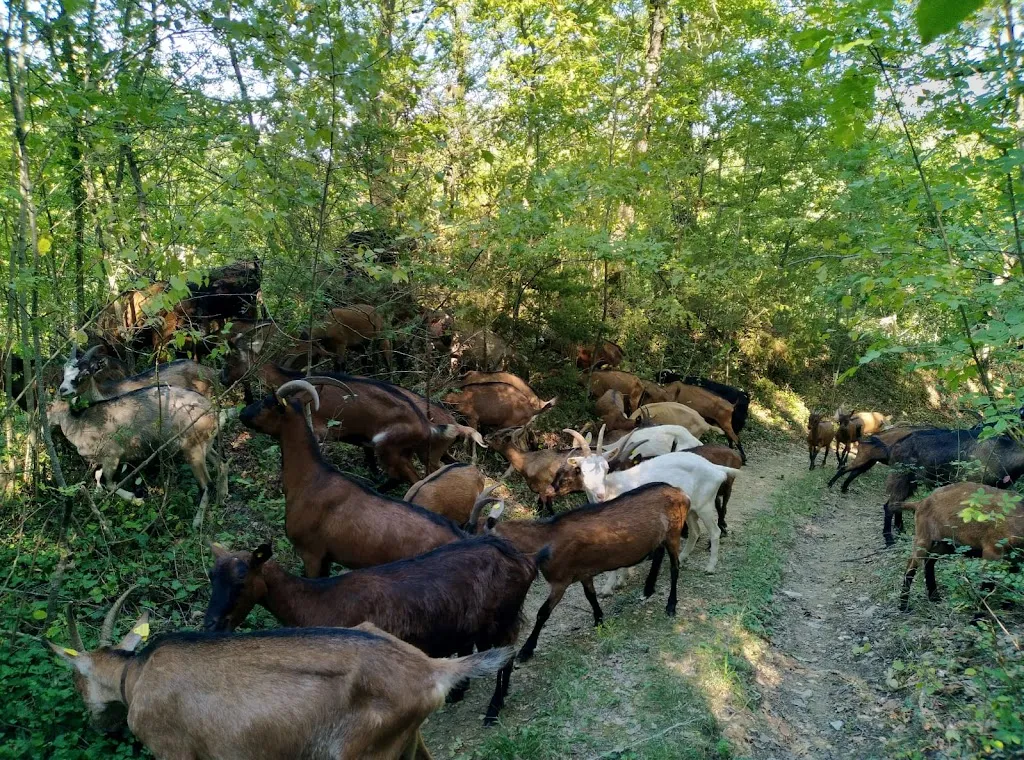 Bio Fattoria Sapio_San Venanzo_slider_image_3