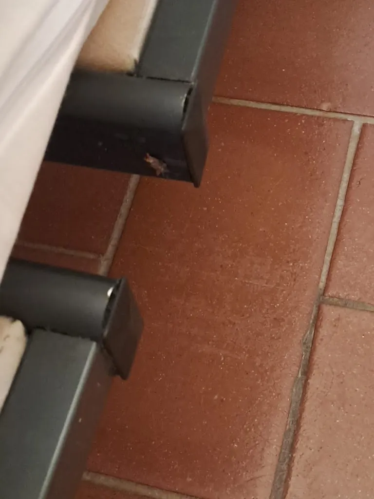 Francesca Pierangeli_Ristorante Fontepino_San Martino in Trignano_review