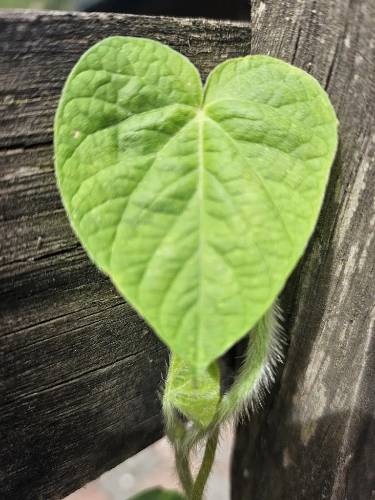 Mary Henningsen_La Locanda Di Valcasana_Scheggino_review