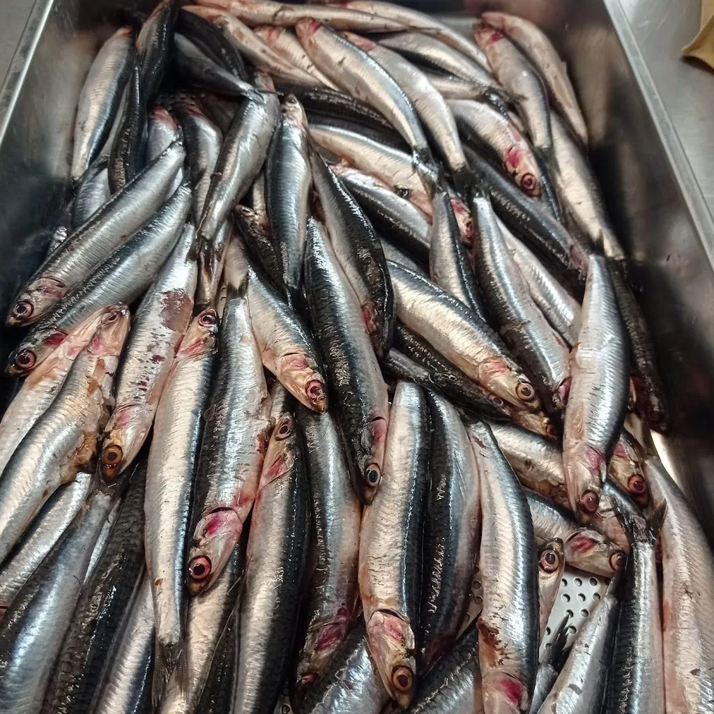 Menu_Bistrò Nanà_Scheggino_image_8