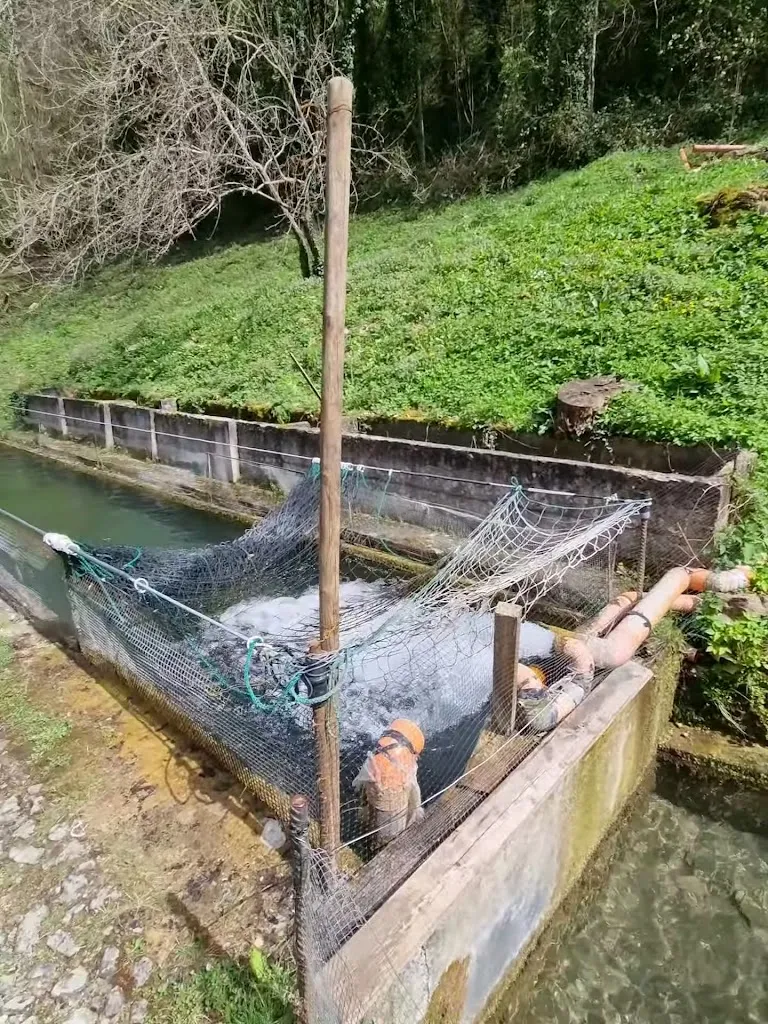 Loch Ness_Sellano_slider_image_2