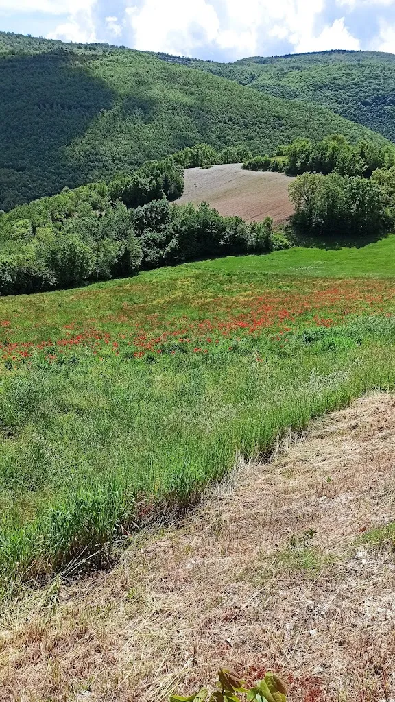 Claudio Beduschi_Agriturismo