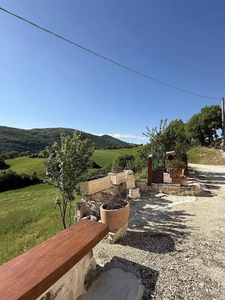 Alessia cicalò_Agriturismo