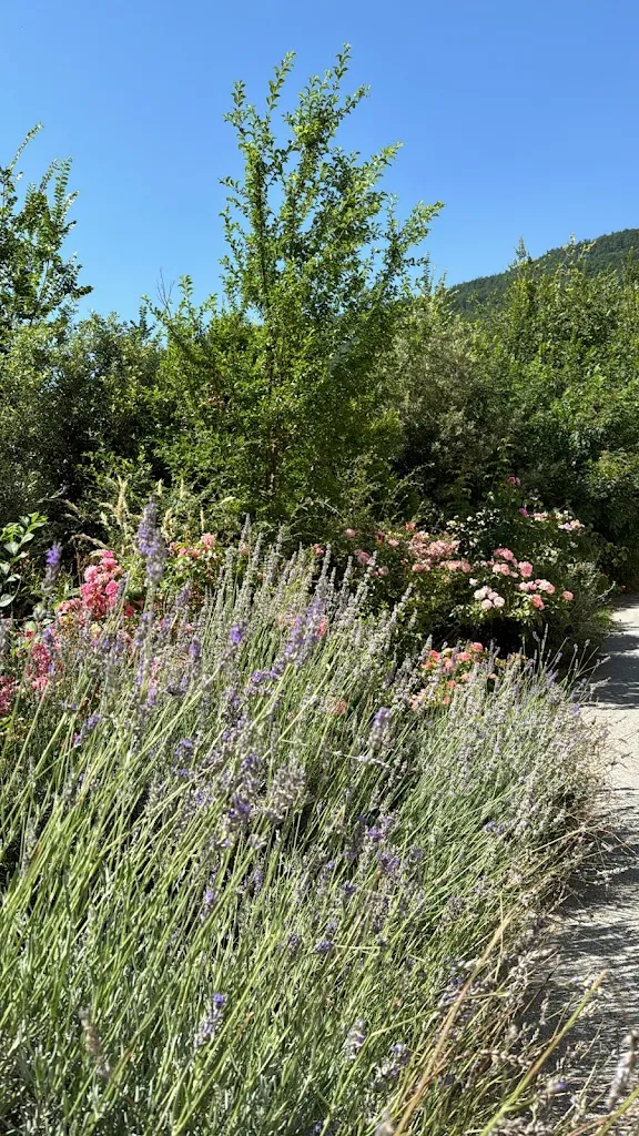 stasiagrams_Castello di Postignano_Sellano_review