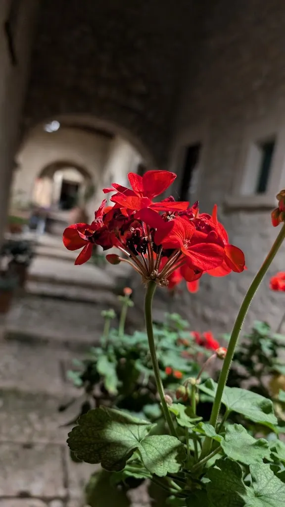 Samuel O_Castello di Postignano_Sellano_review