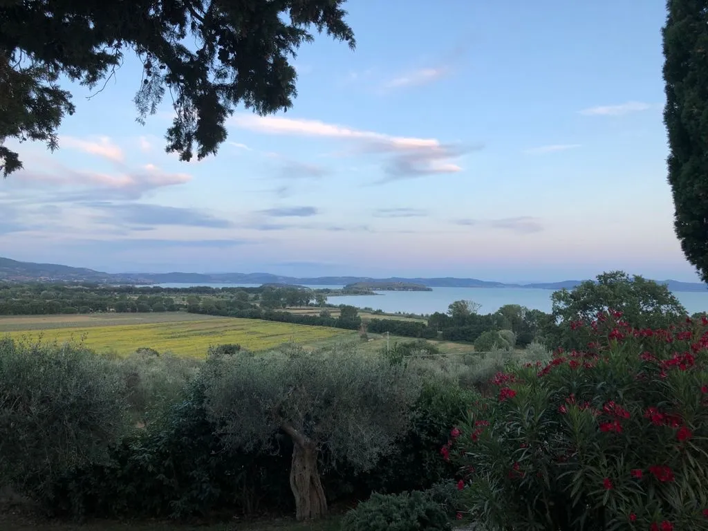 Liz Comerford_La Dogana_Tuoro sul Trasimeno_review