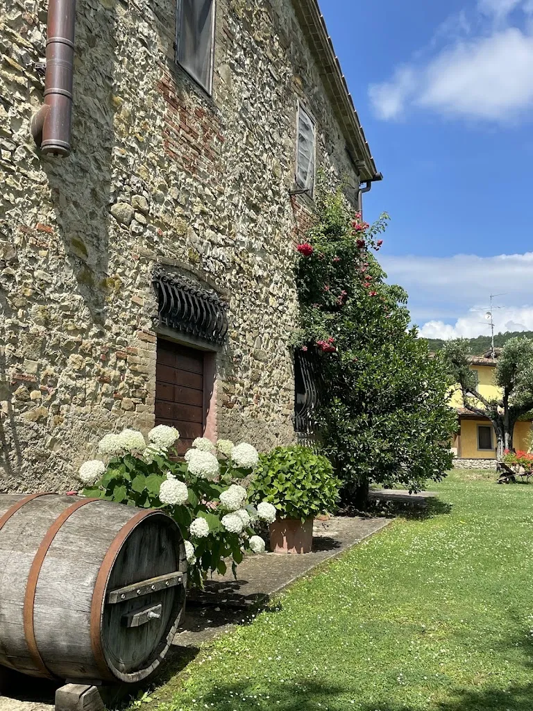 Faustine Schaal_La Miniera di Galparino_Trestina_recensione